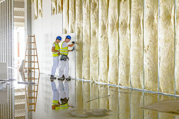 Best Energy Efficiency Insulation in White Salmon, WA